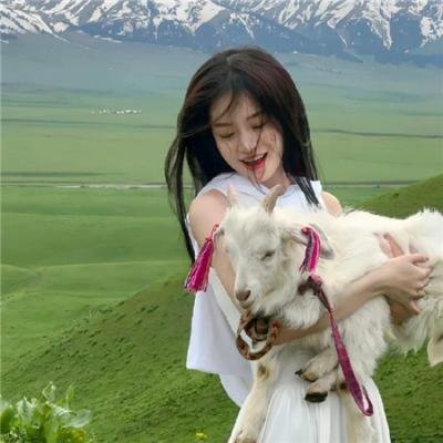 樱，重逢的加奈子